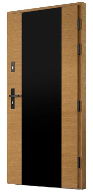 Nowoczesne drzwi zewnętrzne drewniane Doorsy Black Line o grubości 10 cm z czarnymi dekorami